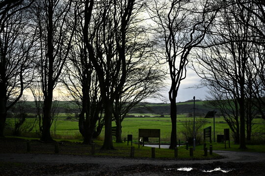 Entrance to Friston woodland forest