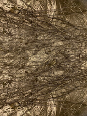 Branches painted on a gold background