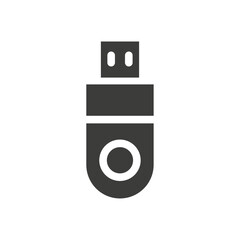 Pen drive icon Vector logo outline