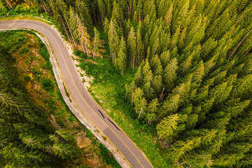 Aerial view of  Transalpina road with many serpentines crossing forest in  Carpathian mountains. Aerial mountains forest trees with road.