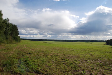 Wide green field. Summer sunny day, low cumulus clouds float across the sky. Ahead is a wide field with green short grass. Tall trees grow along the edges of the field, surrounding it on all sides.