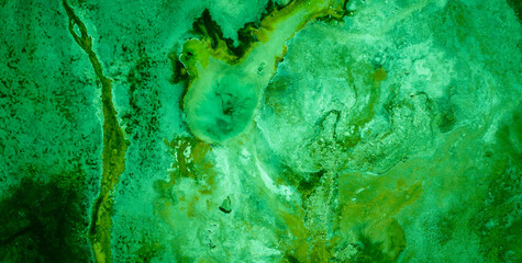 Fluid Finesse: Unveiling the Intricate Allure of Liquid Art in Oil Paintings
