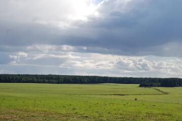 Fototapeta premium Wide green field. Summer sunny day, low cumulus clouds float across the sky. Ahead is a wide field with green short grass. Tall trees grow along the edges of the field, surrounding it on all sides.