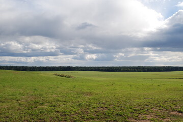 Wide green field. Summer sunny day, low cumulus clouds float across the sky. Ahead is a wide field with green short grass. Tall trees grow along the edges of the field, surrounding it on all sides.