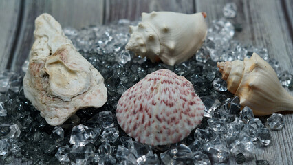 seashells Beautyful decoration with background of colorful small rocks, clay pot, class sand keepers and small magic portions 