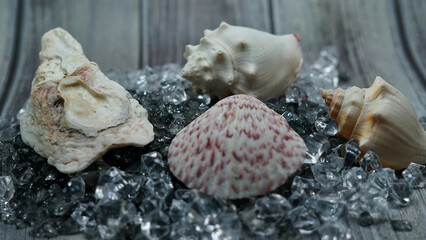 seashells Beautyful decoration with background of colorful small rocks, clay pot, class sand keepers and small magic portions 