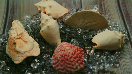 seashells Beautyful decoration with background of colorful small rocks, clay pot, class sand keepers and small magic portions 