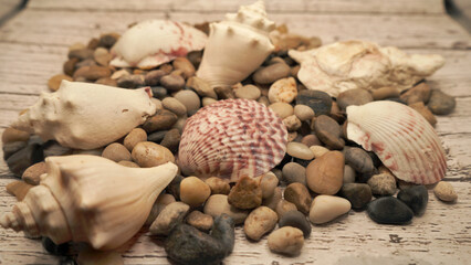 seashells Beautyful decoration with background of colorful small rocks, clay pot, class sand keepers and small magic portions 