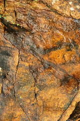 Natural bacground of wet bronze colored  veined stone with cracks