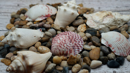 seashells Beautyful decoration with background of colorful small rocks, clay pot, class sand keepers and small magic portions 