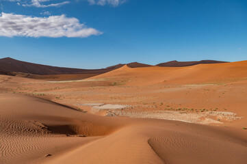 sand dunes in park
