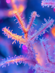 Eisblühende Pflanze in zartem Blau und Lila
