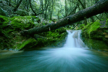 Obraz premium Torrent of Es Freu. Orient,Sierra de Tramuntana. Mallorca. Balearic Islands. Spain.