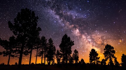 Fototapeta premium Vibrant Milky Way Over Forest Silhouettes Against a Glowing Horizon
