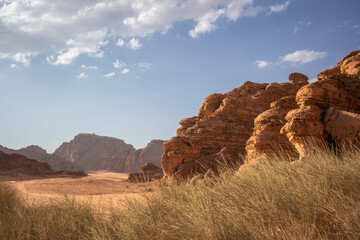 Sandstone Rock Formation with Plant in the Foreground in Southern Jordan. Beautiful Scenery of Afternoon Desert Wadi Rum with Rocky Cliff.
