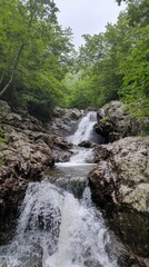 Fototapeta premium Majestic Waterfall in Lush Forest