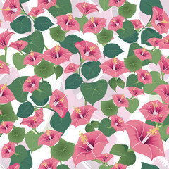 Seamless Botanical Pattern of Pink Garden Flowers