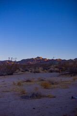 Blue Hour Serenity in Joshua Tree Desert