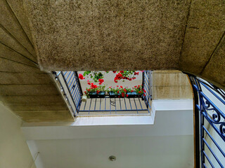 interior of an apartment house with flowerpots