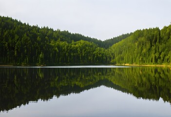 reflection of trees in the lake