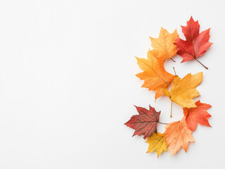 Autumn Wealth: A Vibrant Display of Maple Leaves Forming a Dollar Sign on a Pristine White Background