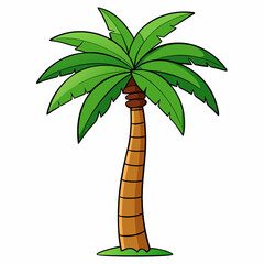 palm tree vector