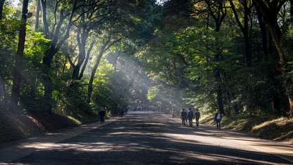 Shibuya Tokyo Japan morning walk