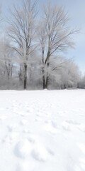 Fresh white snow covering the ground in a serene winter landscape, outdoor