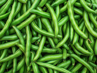 Fresh green beans ready for harvest at a local market in the afternoon sunlight