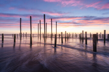 Sunset Over Wooden Poles in Petten Beach, Netherlands