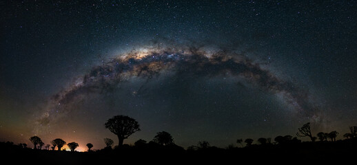 Milky Way arch over Quiver trees forest, Namibia