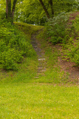 Serene Stone Steps Winding Through a Tranquil Woodland Landscape