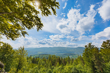 Captivating Mountain Vista Overlooking Lush Forest Landscape