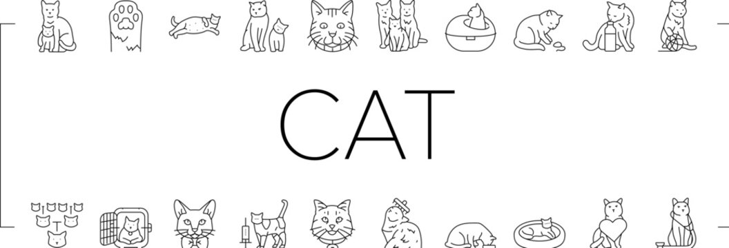 cat breeding genetics cattery icons set vector. pedigree lineage, purebred hybrid, mating selection, traits coat, temperament health cat breeding genetics cattery black contour illustrations