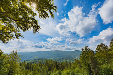 Captivating Mountain Vista Overlooking Lush Forest Landscape