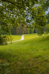 Winding Path Through a Serene Green Meadow Framed by Tree Branches