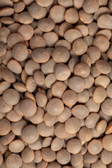 Close-up of Lentils of the pardina variety from Leon, Spain