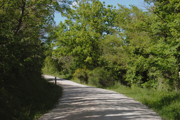 Gravel road located outside Montone, Umbria, Italy.