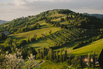 Hillside view of Montone, Umbria, Italy.
