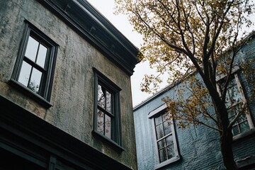 A house or building with two windows and a tree standing in front, possibly in a residential area