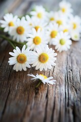 Obraz premium Fresh daisies arranged on a rustic wooden table, great for spring or garden-themed compositions