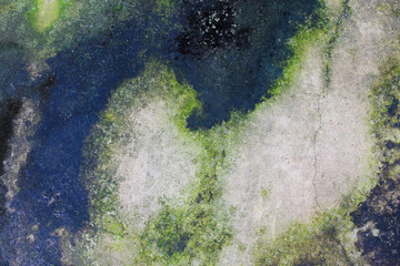 The cement floor is green with moss. 
