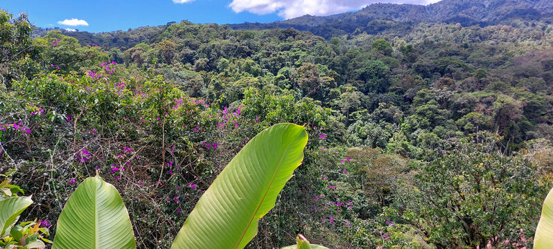 landscape view of la paz waterfall gardens park in costa rica