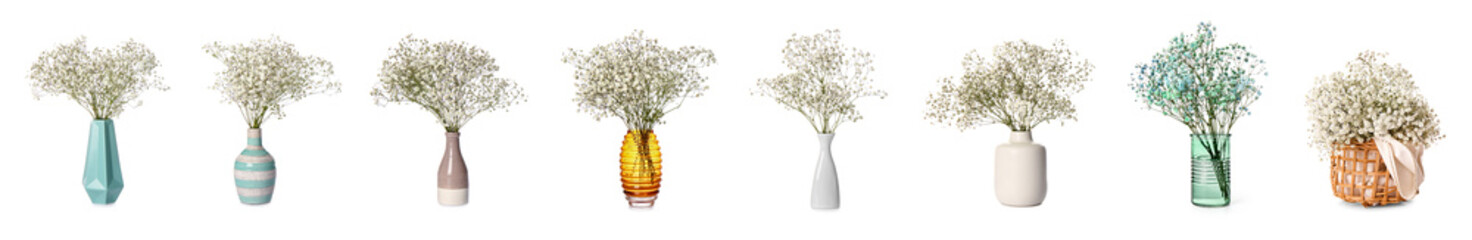 Many bouquets of beautiful gypsophila flowers on white background