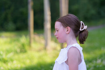 Little cute girl without front tooth on playground in summer in park. Concept of cheerful active...