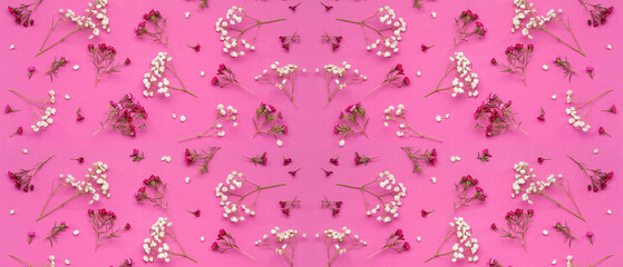 Beautiful gypsophila flowers on pink background