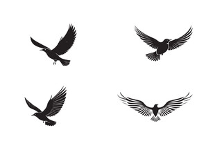 Vector Illustrations of 4 Birds in Black and White
