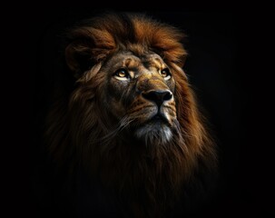 Fototapeta premium A majestic lion's portrait against the darkness, symbolizing strength and grandeur 