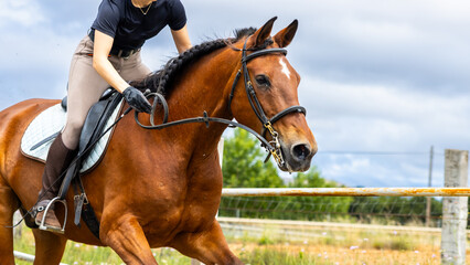 Obraz premium Close-up of woman riding a brown horse in outdoor arena