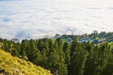 A stunning aerial view from Mount Rigi, Switzerland, showcasing lush evergreen forests descending...
